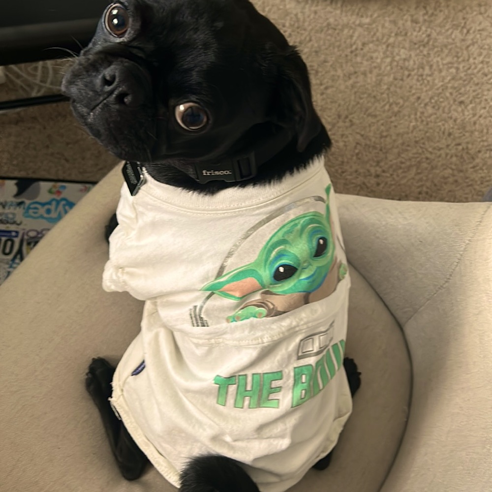 Disney dog spirit jersey